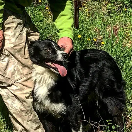 Charming In With Mountain View, 60 M² * Abbateggio