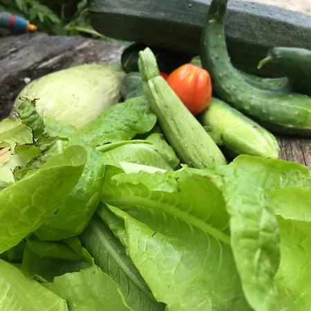 公寓 Charming In With Mountain View, 60 M² Abbateggio