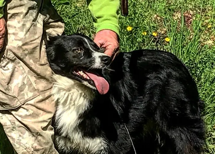 Charming In With Mountain View, 60 M² * Abbateggio